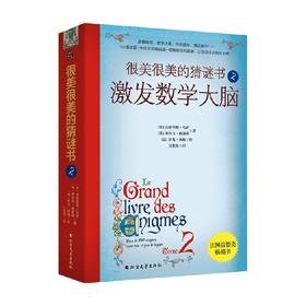很美很美的猜谜书2 激发数学大脑  10-15岁 初中小学生益智打谜语课外推荐读物书籍 数学空间逻辑思维能力解字开发脑力