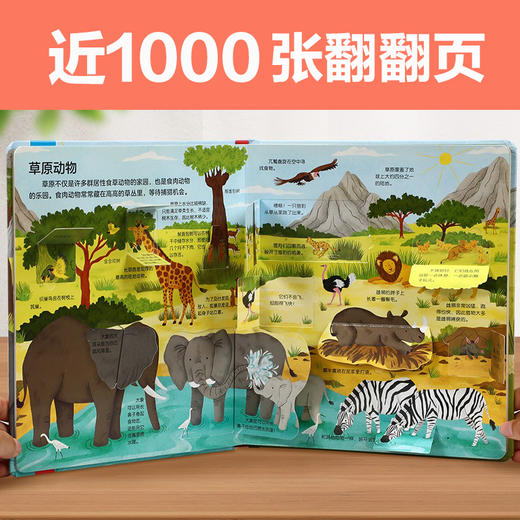 乐乐趣-揭秘翻翻书低幼版 第一辑至第三辑共12册 商品图2