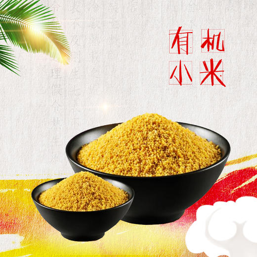 塞尚香有机小米500g*2袋 商品图1