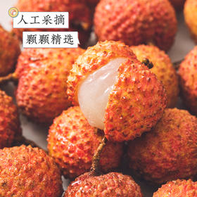 风物小馆 ｜ 6月新品合集