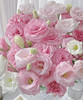 【洋桔梗】--粉色 若干枝/扎 商品缩略图3