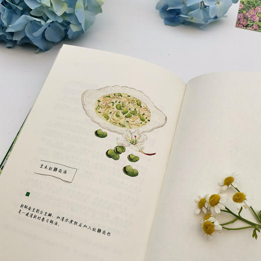 春天，我想去田野里采一朵花 商品图7