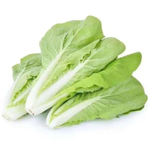 “阿德童年”杭白菜 300g 商品图0