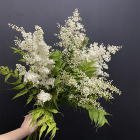 珍珠梅小众花材一扎3支