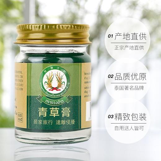 泰国青草膏（50克） 商品图2