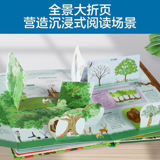 揭秘翻翻书少儿版第四辑+第六辑+揭秘华夏（共12册） 商品图2