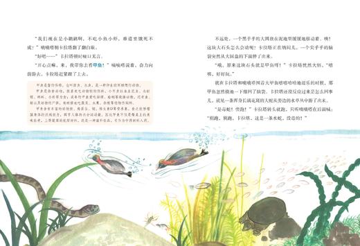 小奇遇/疯狂博物馆/陈博君/绘画:柯曼/浙江大学出版社 商品图2
