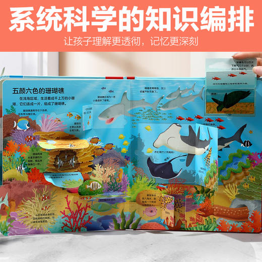 乐乐趣-揭秘翻翻书低幼版 第一辑至第三辑共12册 商品图4