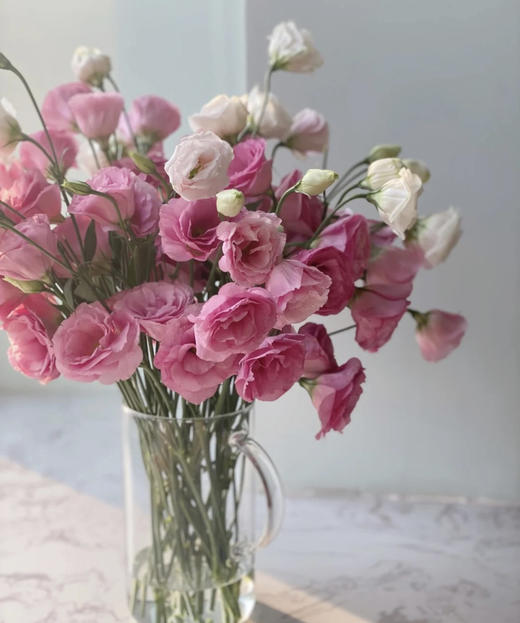 【洋桔梗】--粉色 若干枝/扎 商品图5