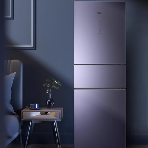 海尔（Haier）冰箱BCD-312WFCM 商品图12
