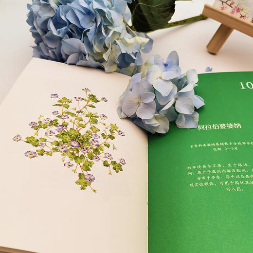 春天，我想去田野里采一朵花 商品图5