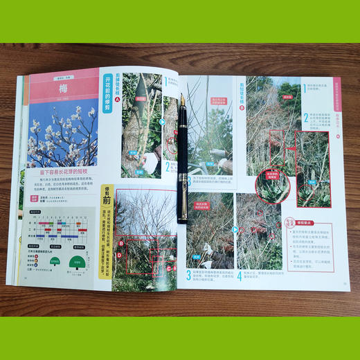 庭院花木整形修剪技法 9787109279711 庭院 花木 整形 修剪 技法 庭院花木 整形修剪 花木修剪 花木整形 商品图2