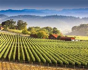 补价（换购/运费等） 商品图0