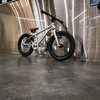 英国early rider儿童自行车山地单车男女孩中大童超轻变速脚踏车 B16 商品缩略图3