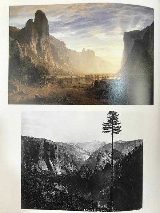 美国艺术社会史 665幅插图（337幅彩色） 精装16开 商品图11