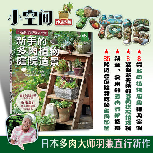 新手的多肉植物家庭造景 26657 多肉图书 零基础养多肉 多肉图解 多肉设计 多肉花艺 多肉畅销书 商品图0