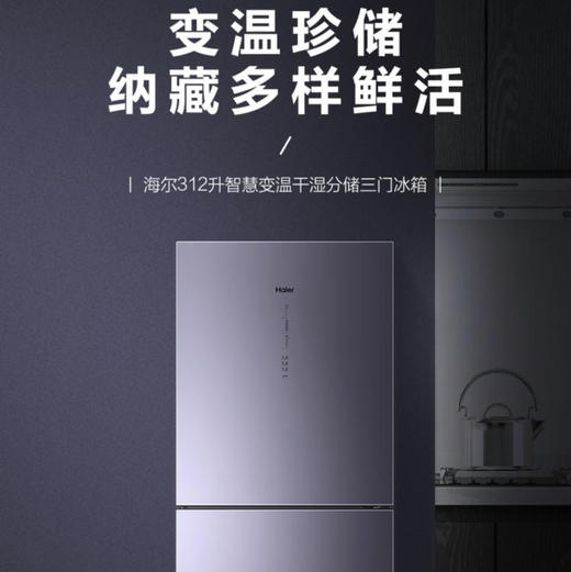 海尔（Haier）冰箱BCD-312WFCM 商品图8