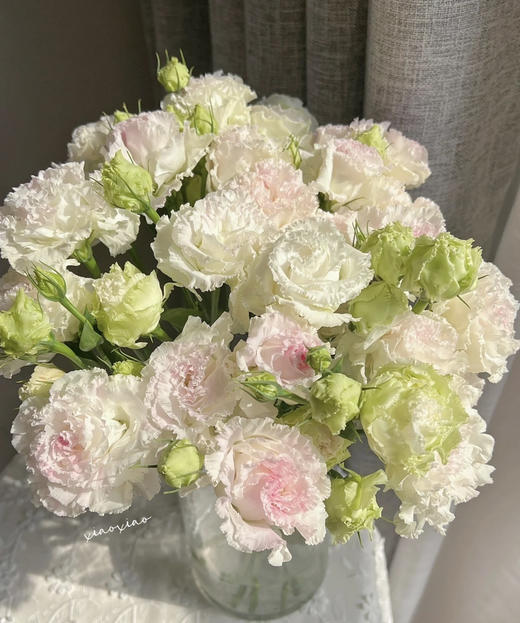 【洋桔梗】--冰淇淋 若干枝/扎 商品图3