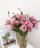 【洋桔梗】--粉色 若干枝/扎 商品缩略图4