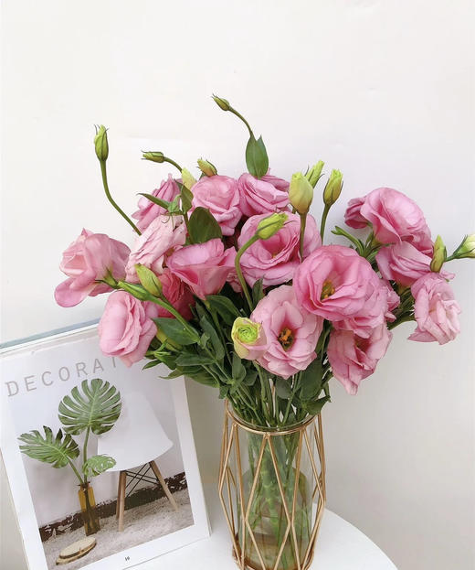 【洋桔梗】--粉色 若干枝/扎 商品图4