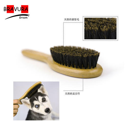 宠物猪鬃竹柄梳 意大利BravuraGroom  商品图2