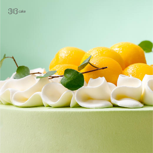 鲜芒开心果奶油蛋糕 | 36 CAKE 商品图3