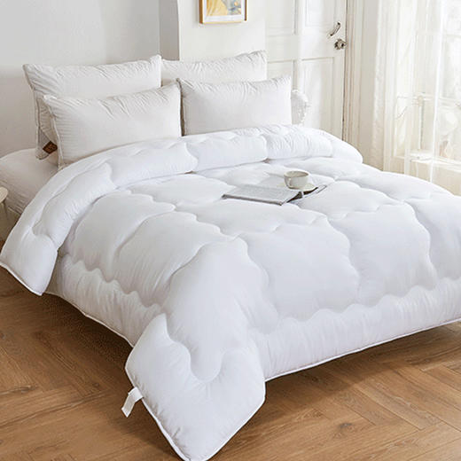 多喜爱  冬被：舒适极暖加厚冬被（白） 商品图0