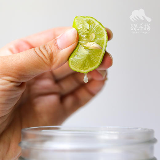 生态小青柠（柠檬，云南） | 合作生产*Eco lime | Partner Production 商品图3
