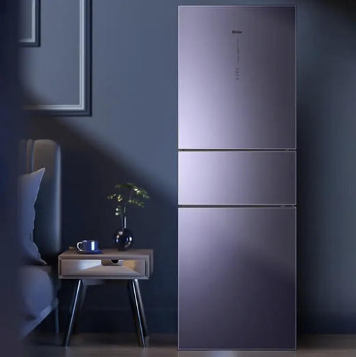 海尔（Haier）冰箱BCD-312WFCM 商品图0