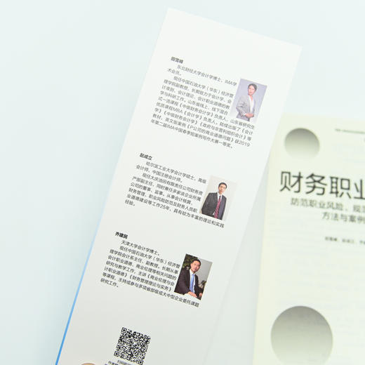 财务职业道德：防范职业风险、规范业务行为的方法与案例分析 商品图5