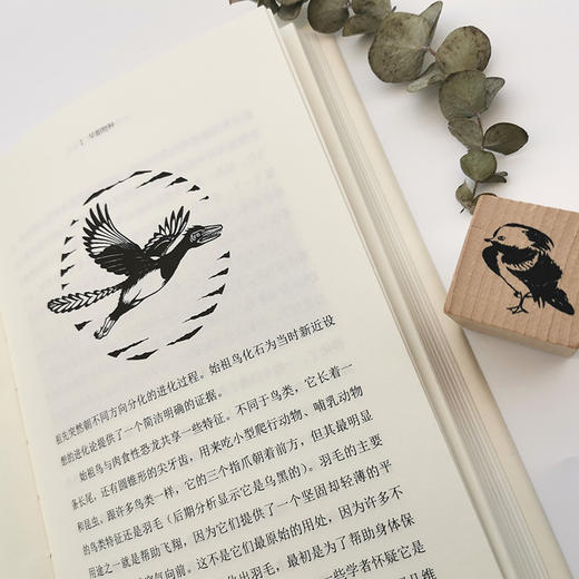 50种动物的世界简史 商品图9