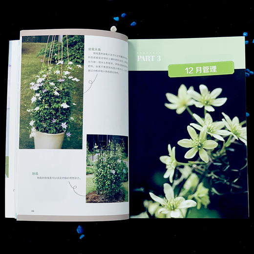 铁线莲 初学者手册{第2版) 零基础养铁线莲 铁线莲图解 铁线莲设计 铁线莲花艺 铁线莲畅销书 花园打造 商品图2