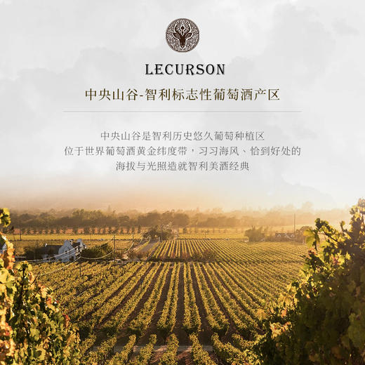 【三种葡萄混酿】露颂灵魂三重奏干红葡萄酒 智利中央山谷产区 15%vol 商品图11