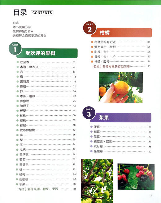 果树整形修剪及栽培技术大全 【官方正版】 果树栽培 果树管理 果园 果树修剪 商品图2