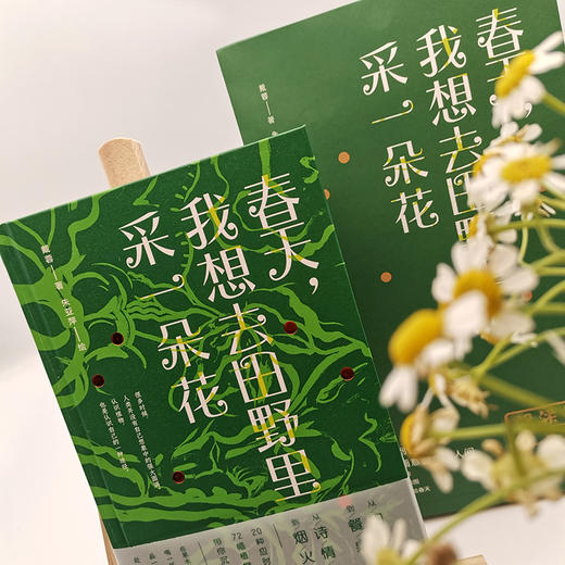 春天，我想去田野里采一朵花 商品图2