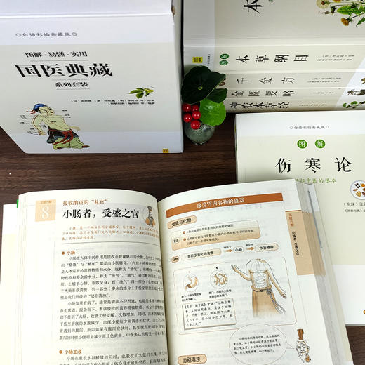 【优惠套装】【多种选择】图解国医典藏系列套装（共6册）一套人人都能看懂、用得上的国医经典 商品图1