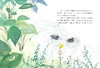 小奇遇/疯狂博物馆/陈博君/绘画:柯曼/浙江大学出版社 商品缩略图1