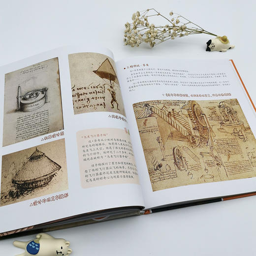 大师的秘密：达芬奇 商品图6