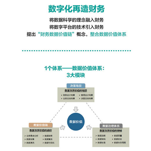 财务数据价值链：数据、算法、分析、可视化 商品图1