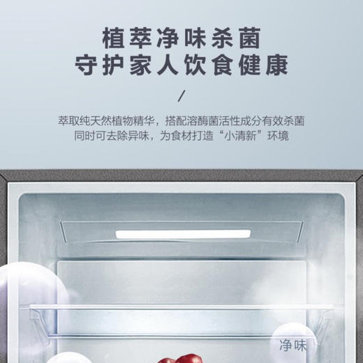 海尔（Haier）冰箱BCD-312WFCM 商品图11