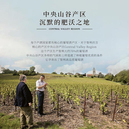 【三种葡萄混酿】露颂灵魂三重奏干红葡萄酒 智利中央山谷产区 15%vol 商品图10