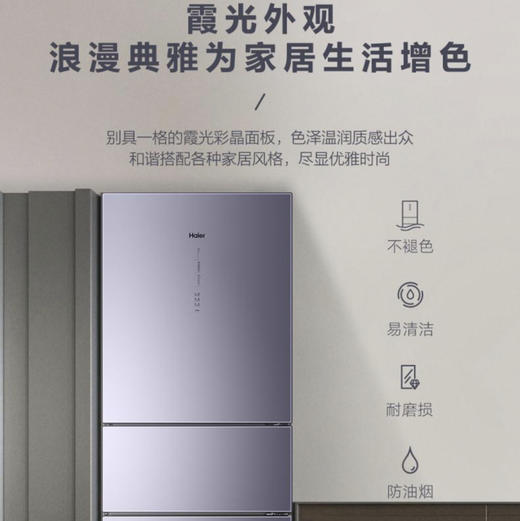 海尔（Haier）冰箱BCD-312WFCM 商品图2