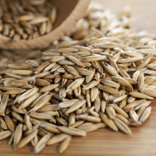 468黑麦多谷物迷你小面包 无油无糖 无蛋无奶 Multigrain Mini roll 100g 商品图2