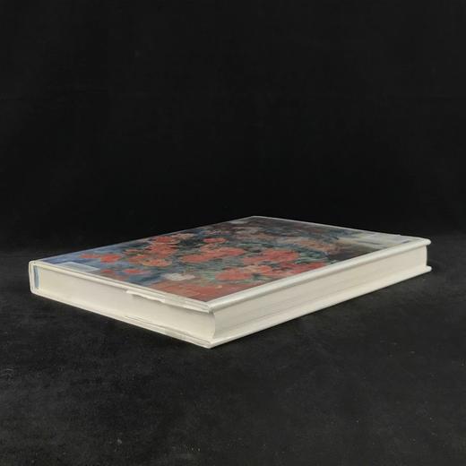 雷诺阿传记，作品与书信集 391幅插图 含大量拉页巨幅插图  精装8开 商品图2