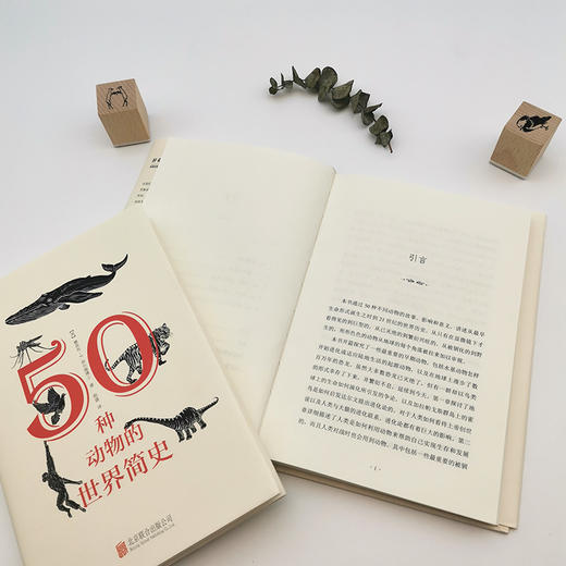 50种动物的世界简史 商品图8
