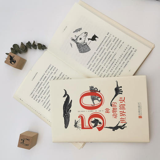 50种动物的世界简史 商品图5