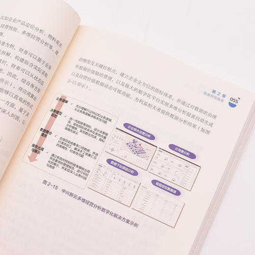 财务数据价值链：数据、算法、分析、可视化 商品图8