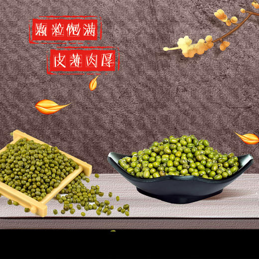 塞尚香绿豆500g＊2五谷杂粮绿豆汤解暑搭红豆黄豆 商品图2