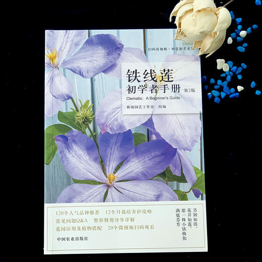 铁线莲 初学者手册{第2版) 零基础养铁线莲 铁线莲图解 铁线莲设计 铁线莲花艺 铁线莲畅销书 花园打造 商品图1