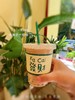 手作芋圆奶茶 商品缩略图0